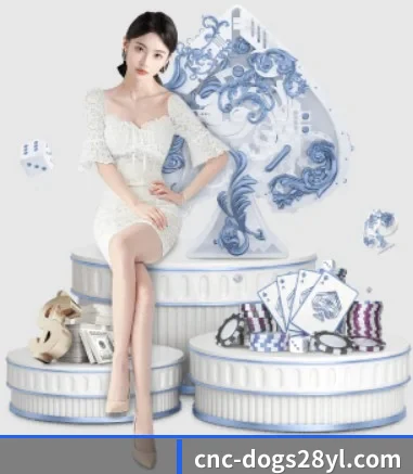 全球扩展 - 注册用户突破千万级,业务版图扩展至全球多个华人聚集地区。